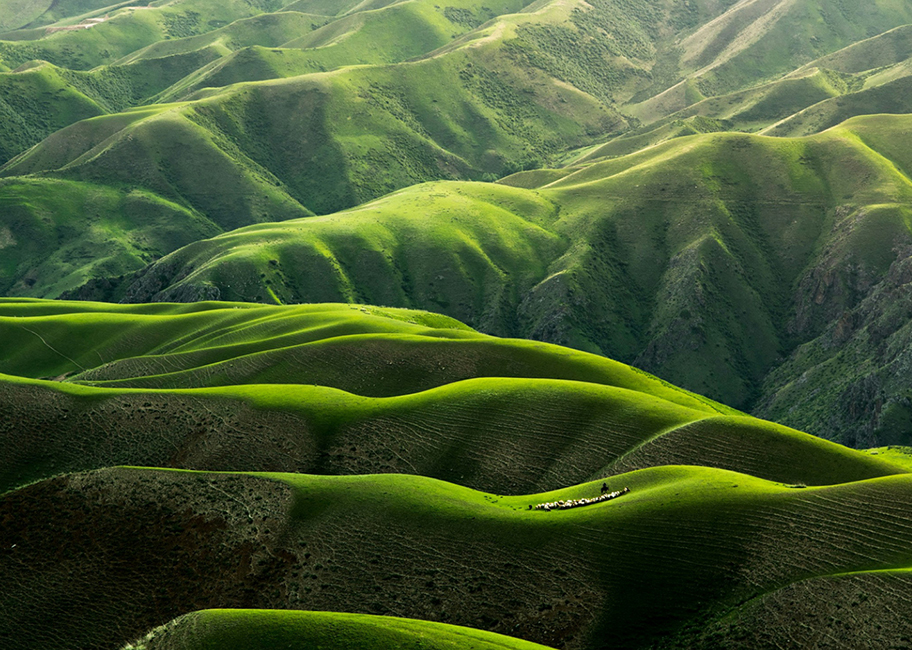 A state-owned survey, inspection, and classification company in Indonesia